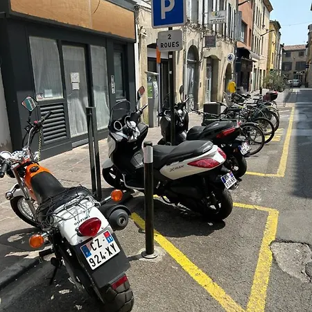 Aigle D Or *