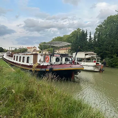 Aigle D Or Apartamento Carcassonne