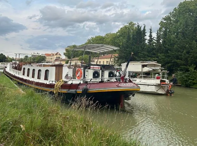 Aigle D Or Apartamento Carcasona